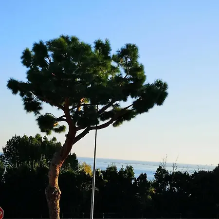 Lavinia Formia